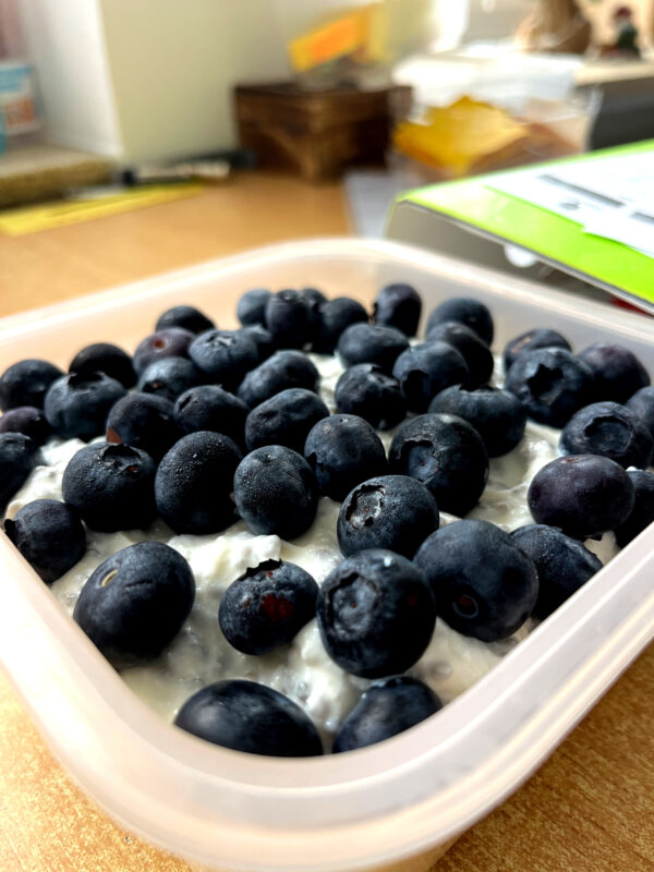 LUNCHBOXEN FIT OD NOWA
